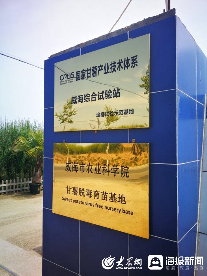 信息化賦能扶貧攻堅，激活鄉村振興新引擎